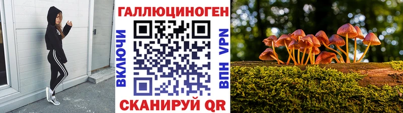 Купить где  Вяземский  Галлюциногенные грибы MAGIC MUSHROOMS 
